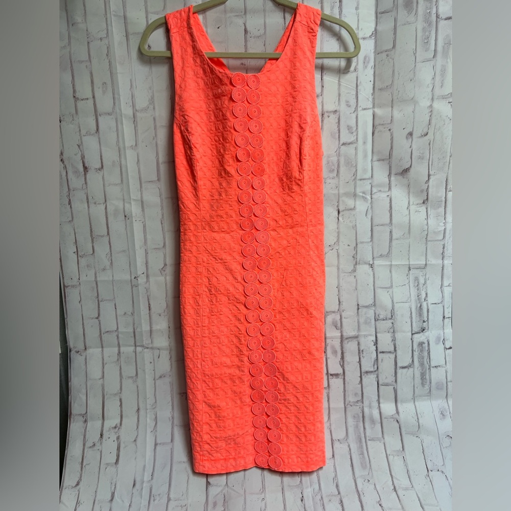 Hello spring crown and ivy dress 12 women